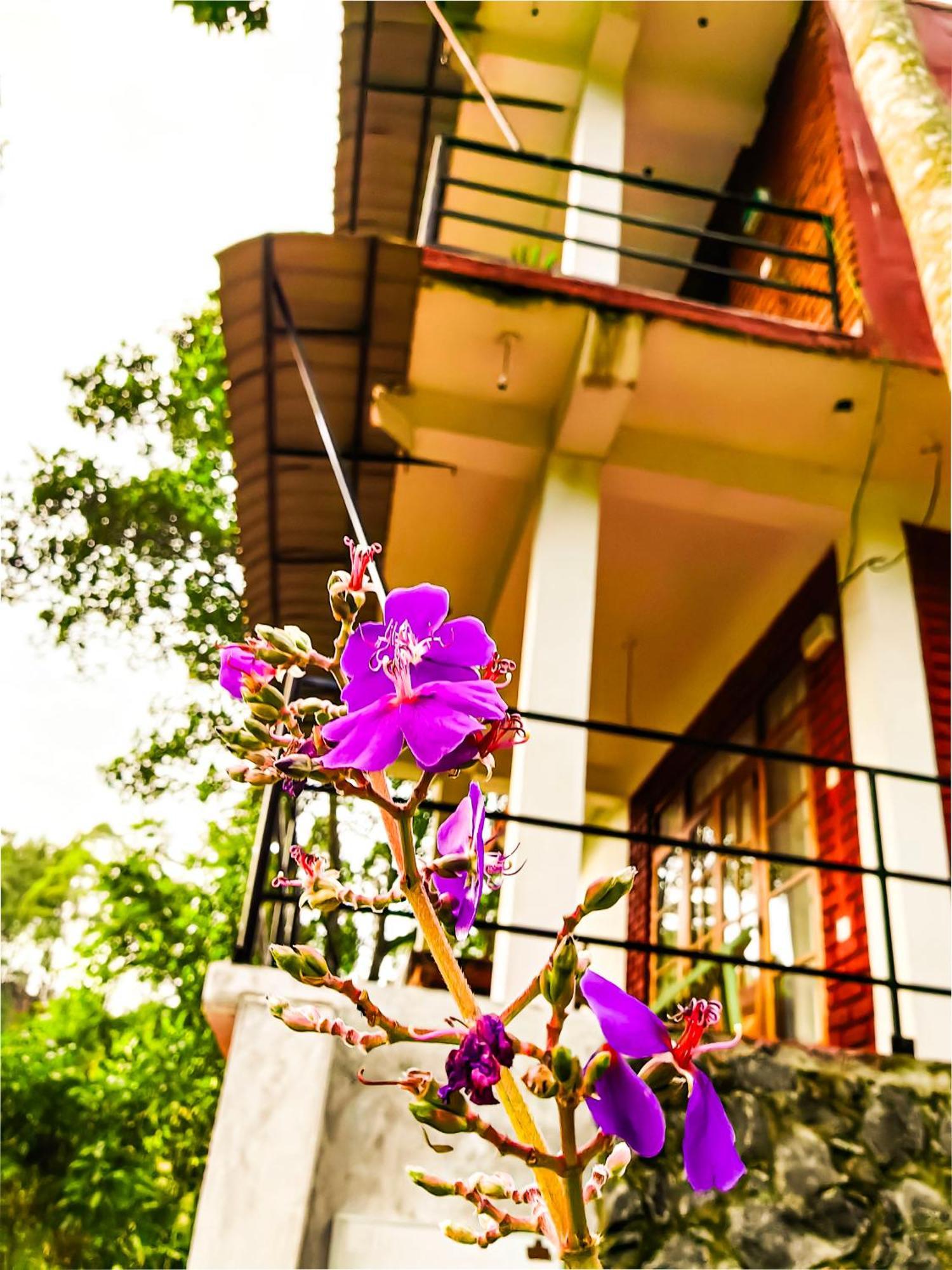 Villa Ella Rock Glance Exterior foto