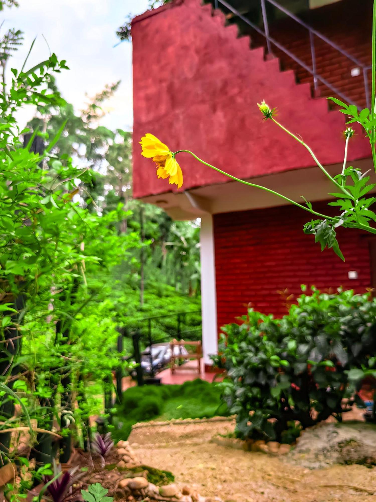 Villa Ella Rock Glance Exterior foto