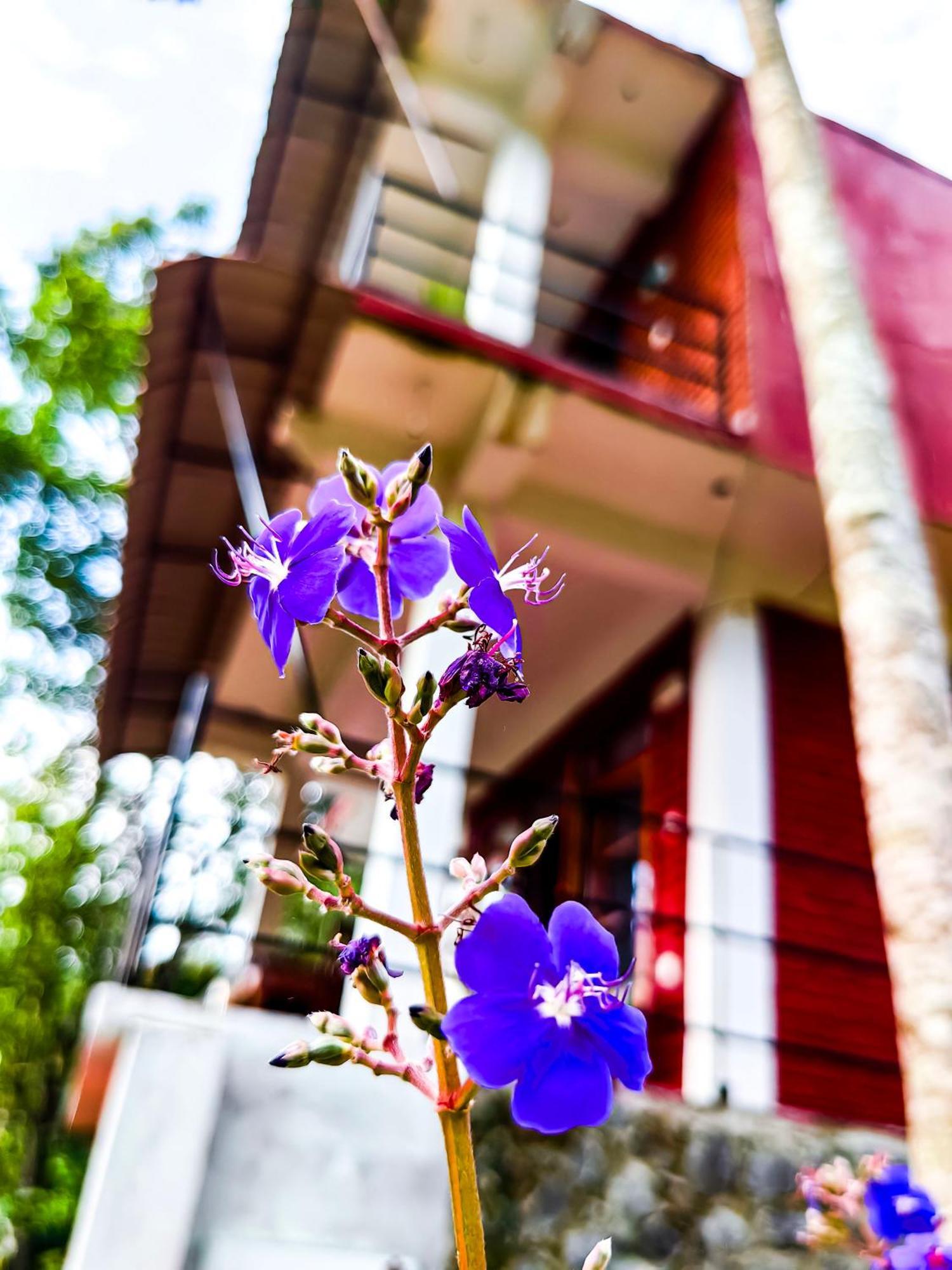 Villa Ella Rock Glance Exterior foto