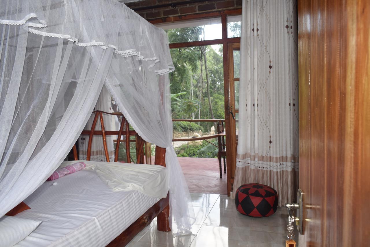 Villa Ella Rock Glance Exterior foto